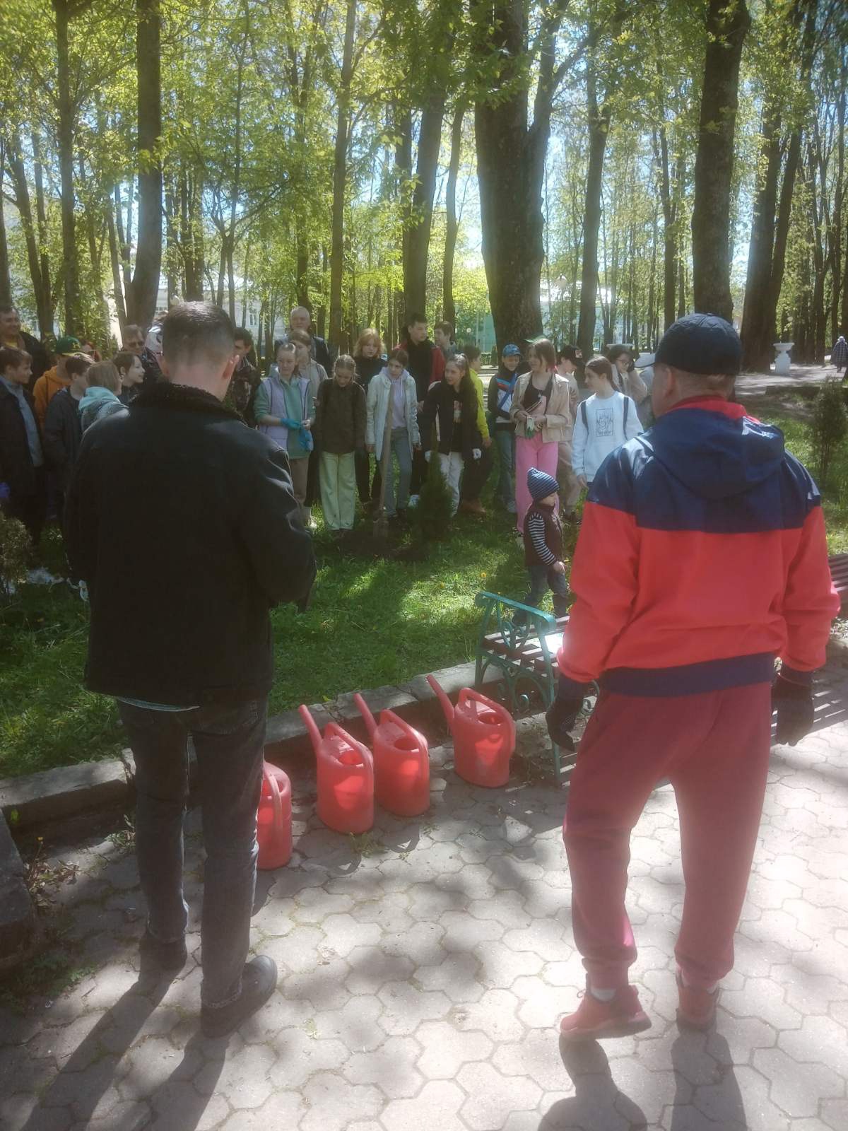 Высадка аллеи туй в рамках фестиваля "Детский киномай"